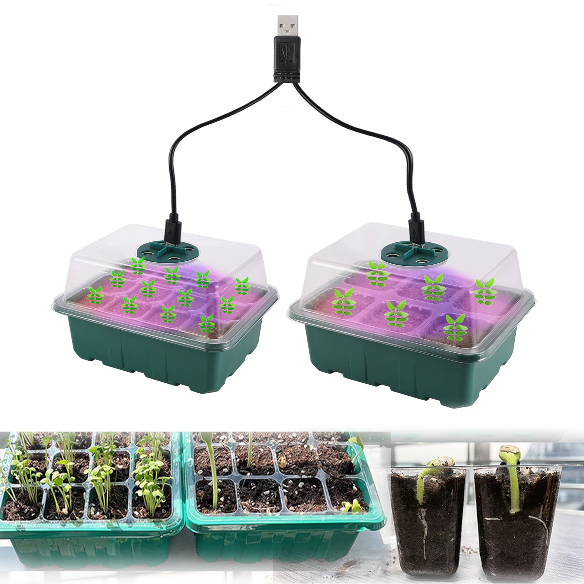 Seed Starter Tray Box with LED Grow Light Nursery Pot Seedling Germination Planter Adjustable Ventilation Humidity 6/12/13 Cell